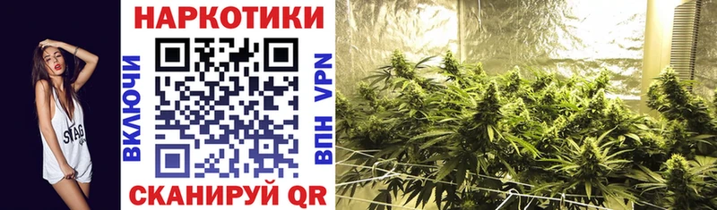 Меф мяу мяу Чайковский