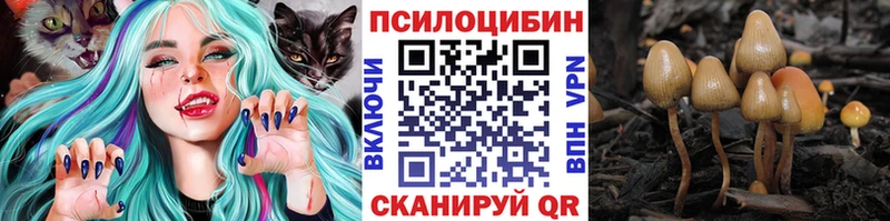Галлюциногенные грибы Psilocybe blacksprut ссылки Чайковский