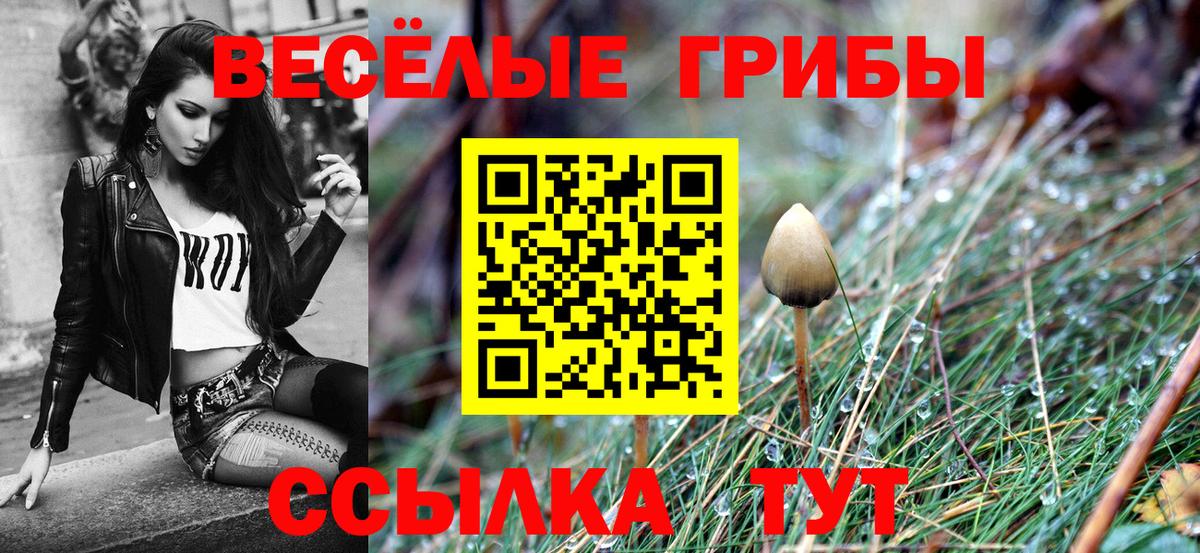 Галлюциногенные грибы MAGIC MUSHROOMS  Вход с VPN  Чайковский 